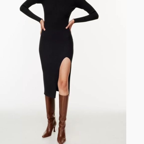 Brand New With Tags Alchemy Dress from Aritzia - Picture 1 of 7